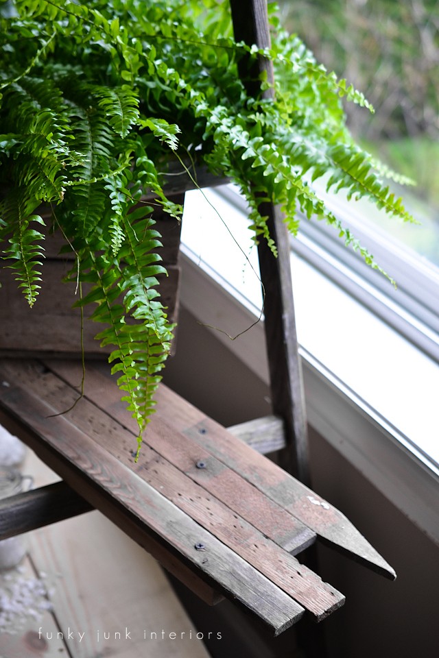 ladder plant stand via Funky Junk Interiors