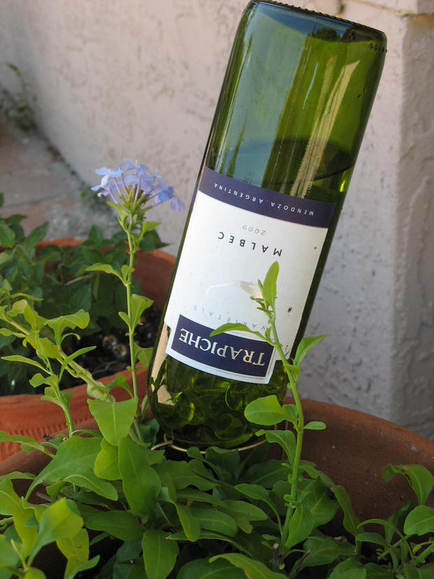 self-watering-ideas-wine-bottle