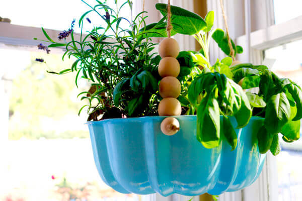 11-bundt-cake-pans-make-great-herb-containers-for-the-kitchen-so-cute